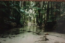 Fraser Island - Central Station